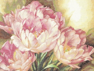 roze Tulpen