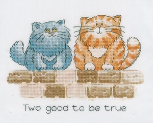 Two good to be true