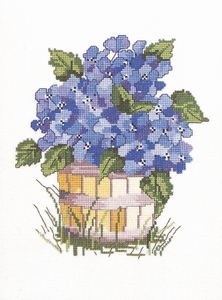 blauwe hortensias